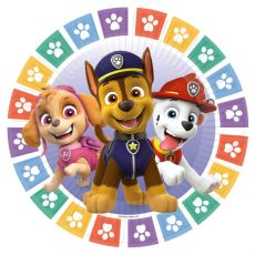 PAW PATROL 2022 talířky 8 ks, 18 cm